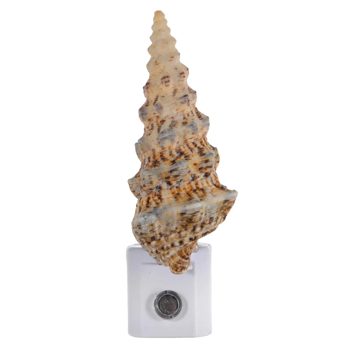 Large Shell Socket Night Lamp With Automatic Sensor